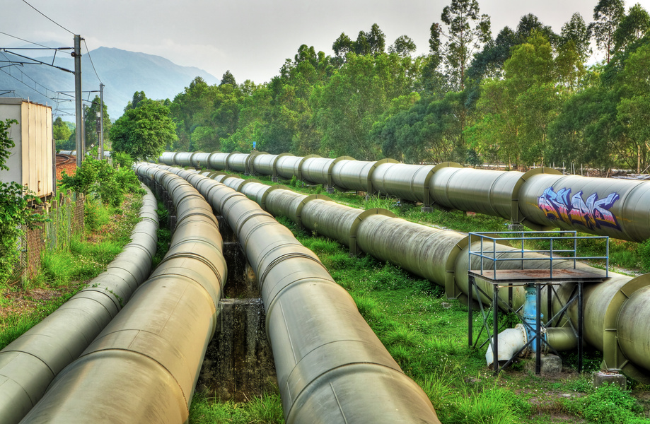 Industrial Pipeline Along Forest